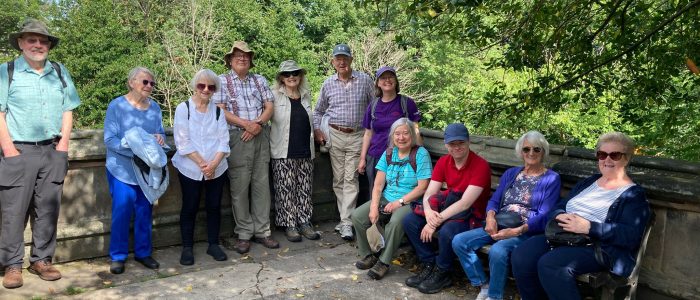 Special Summer Walk Series